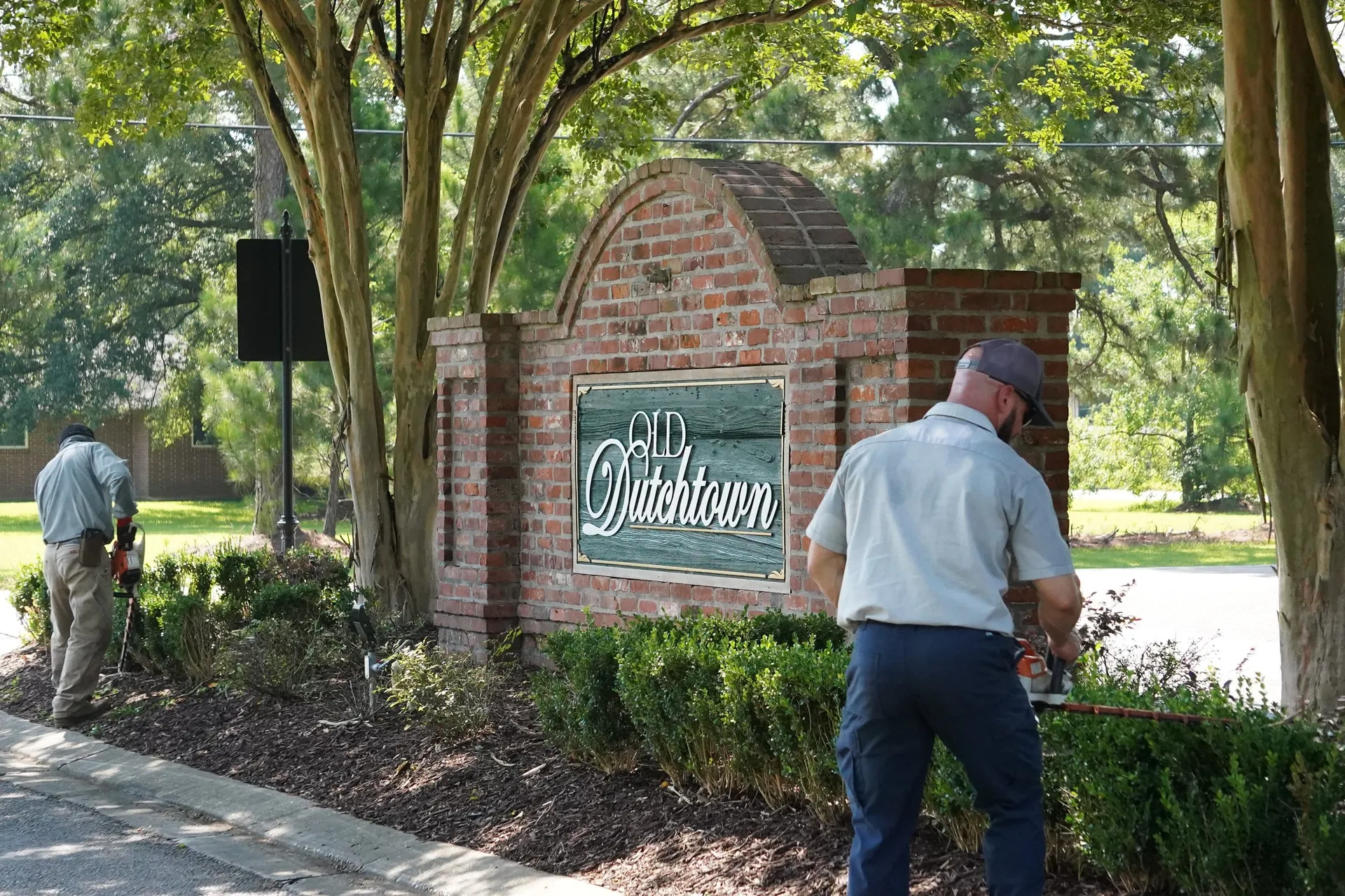 Landscape Design + Install