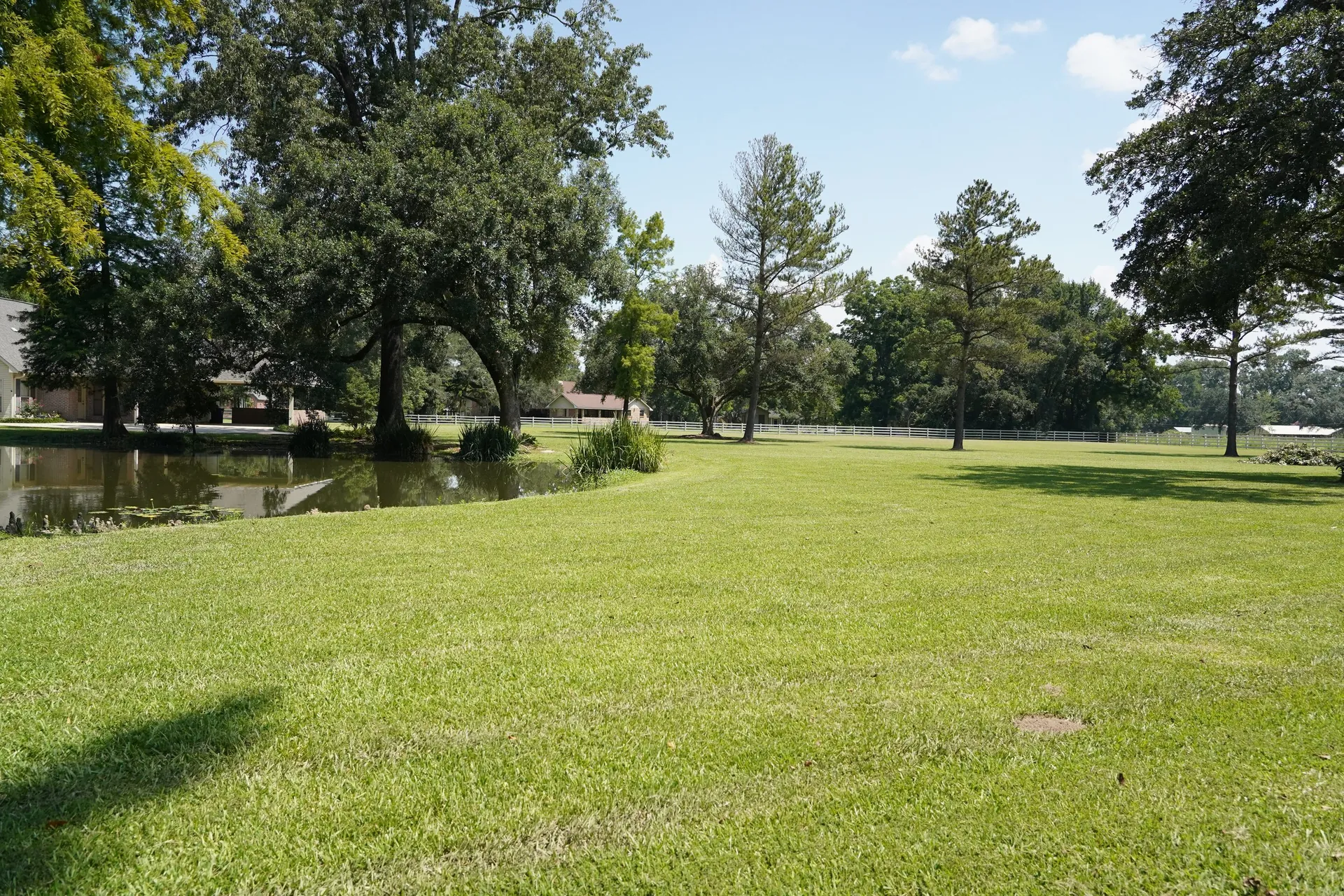 Pond & drainage edges